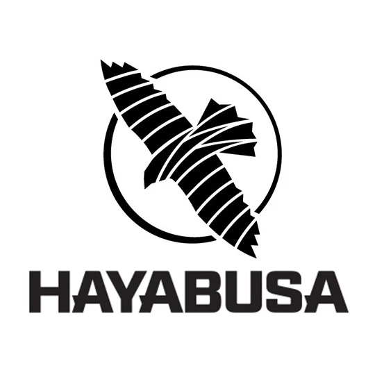 HAYABUSA