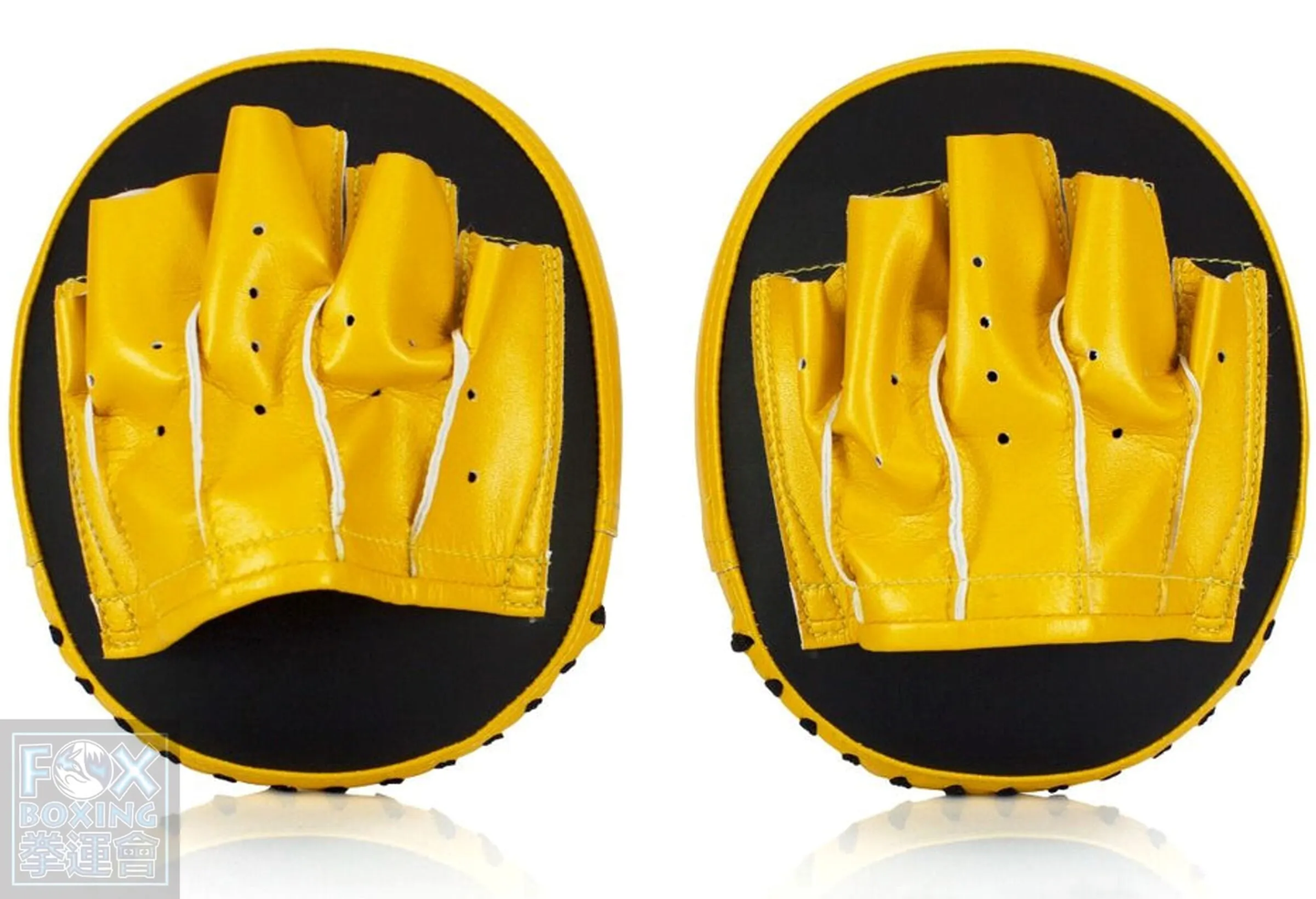 【FOX BOXING】Fairtex FMV15 Speed & Accuracy Focus Mitts – Black/Gold