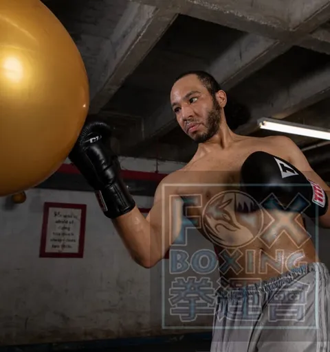 【FOX BOXING】 TITLE Classic Leather Elastic Boxing Gloves 2.0