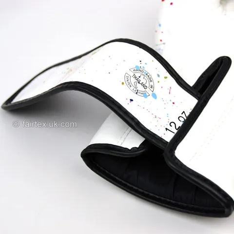 Fairtex Art collections Painter Boxing Gloves