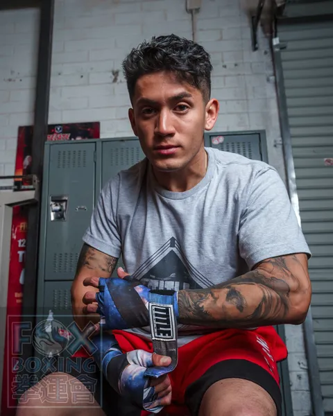 【FOX BOXING】 TITLE Boxing Print Hand Wraps 180" Galaxy