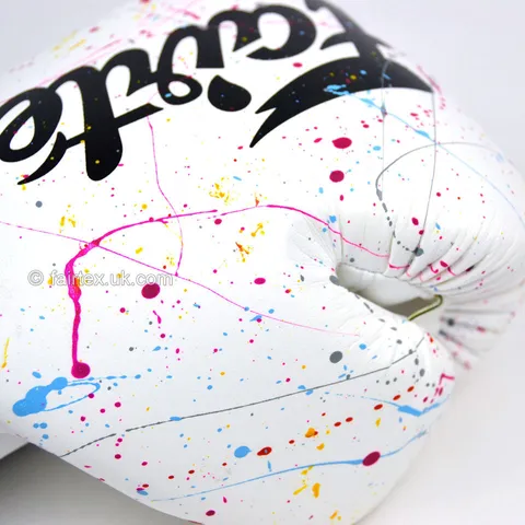 【FOX BOXING】 Fairtex Art collections Painter Boxing Gloves